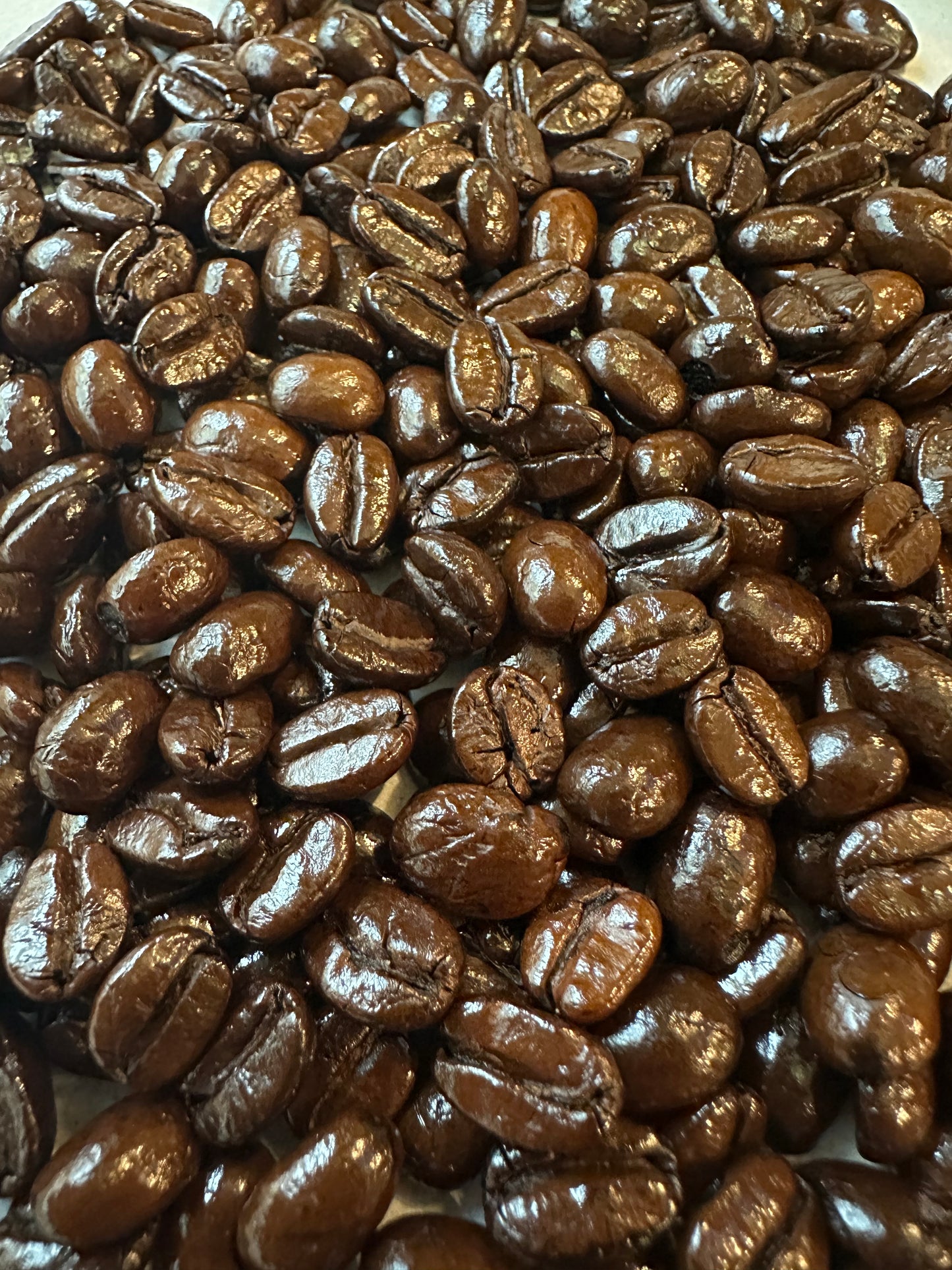 【炭火自家焙煎】コーヒー豆100g インド　モンスーンマラバールAA